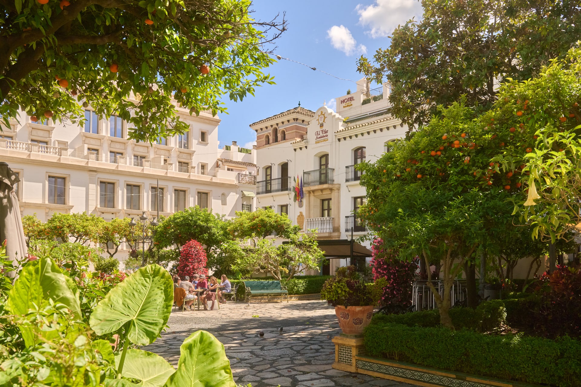 Een plein in Estepona met sinaasappelbomen en witte gebouwen
